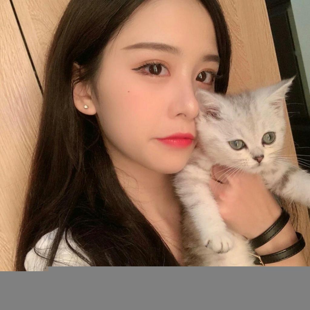 成语猜猜猜红包版