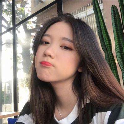 长期养狗心脏病风险直降20%