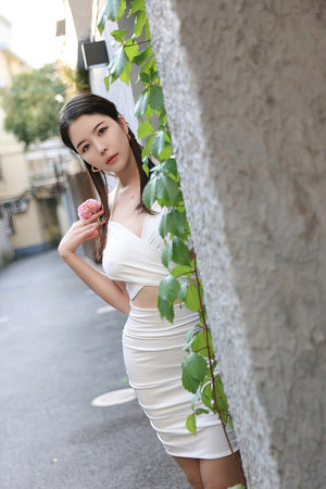 顶级官网在线登录