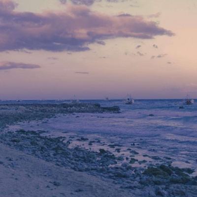 乐鱼体育官网平台登录