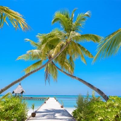 小摩CEO警示人工智能可能导致失业，呼吁政府与企业设立激励机制