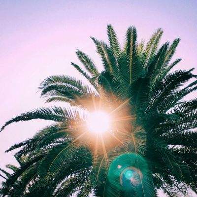 ob欧宝体育登录