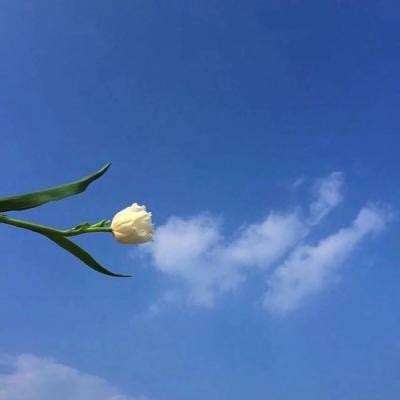 摩根士丹利预计美元涨势难持久 美欧利差料收窄且伊朗战争恐拖累经济