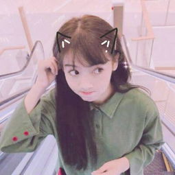 半岛y体育截图0