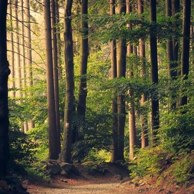 乐鱼体育客服电话号码