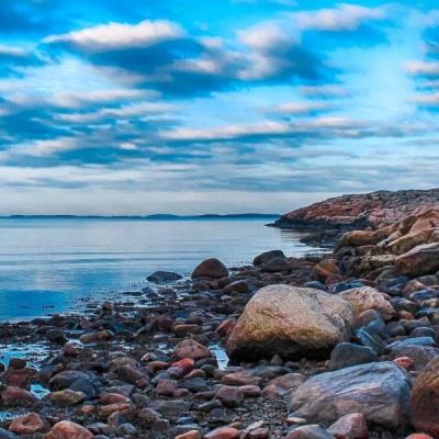 市场监管总局座谈会深入整治“内卷式”竞争，宁德时代、比亚迪、奇瑞、滴滴、美团等参会