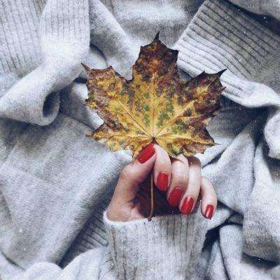 1688cc彩票app全站版相关推荐1