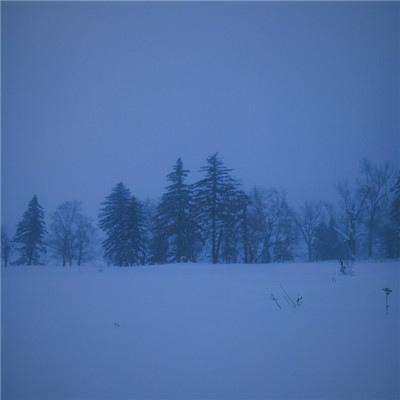 中海的事情，大家都传开了...