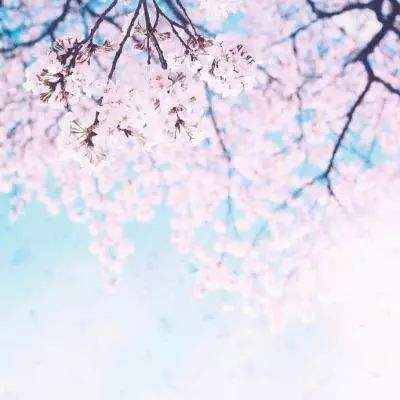 乐鱼 电竞 体育