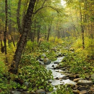 央行“一次性信用修复政策”月底截止