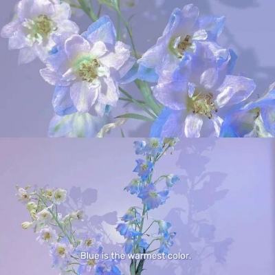 www.kaiyun.net入口
