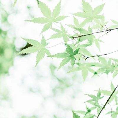 双良节能两年亏30亿吞噬5年盈利 蹭热点“翻车”相关方被罚1300万