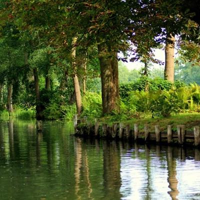 樱花校园模拟器万圣节中文版