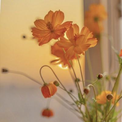 美多家机场或面临关闭风险