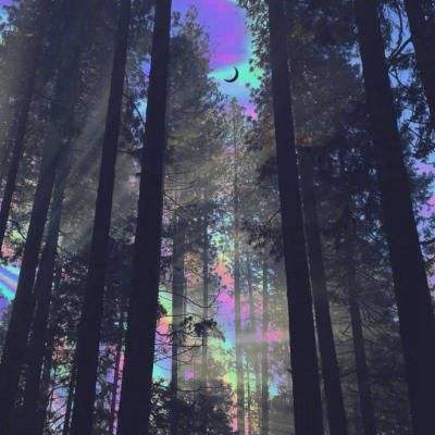 十博体育娱乐APP/手机APP下载