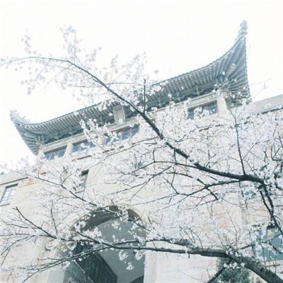 亿万娱乐体育app综合体育APP下载正版手游app截图