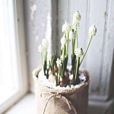 传销“黑名单”，11城上榜