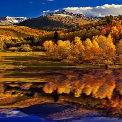 8383米博官方网站