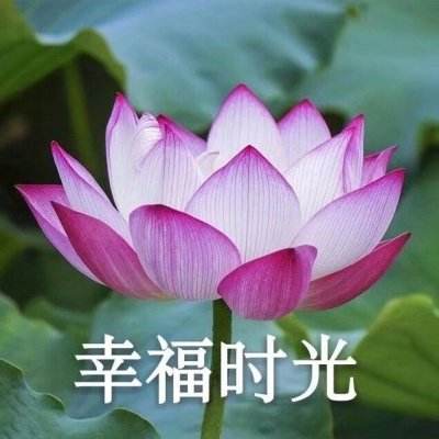 南方创业板人工智能ETF净值上涨3.72%