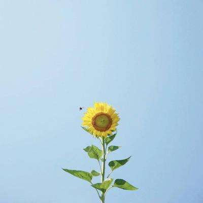 阿联酋:将霍尔木兹海峡武器化是对世界的经济恐怖主义