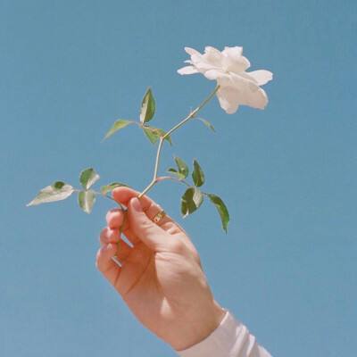 手机阅读《熊猫体育官网网页版》