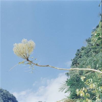 乐鱼体育APP的邀请码