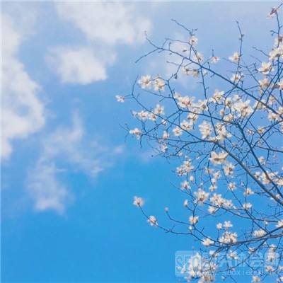 美股盘前要点 | 美方15项结束伊朗冲突方案曝光！特斯拉Optimus 3有望今夏启动生产