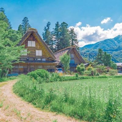 家长违停孩子“开门杀”撞人后逃逸