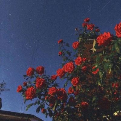 开云体育首页安装正版最新版v8.2.7.4截图0