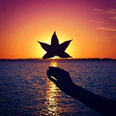 火博体育娱乐APP/手机APP下载相关推荐1