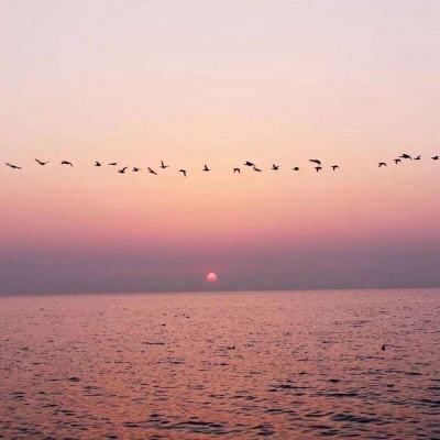 红海装运沙特原油的油轮运费大幅下跌