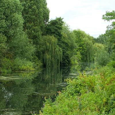 马斯克大手笔 自建全球最大芯片厂,要把80%算力送上太空