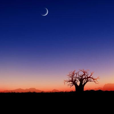 永信贵宾会（官方）最新APP下载