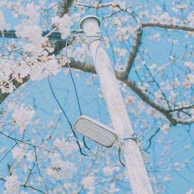 暴力赛车