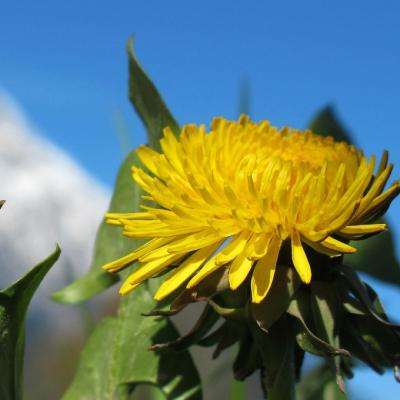 湖南两名外卖小哥跳桥自杀系谣言