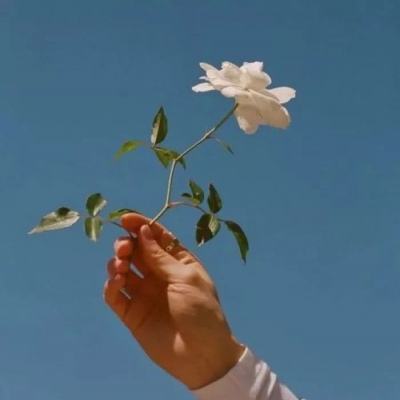 亚投登录正版手游app截图