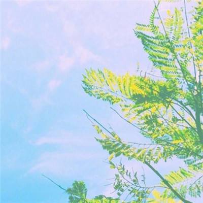 大湾区背书，任正非定调！启境汽车 “AI智能”赛道新黑马