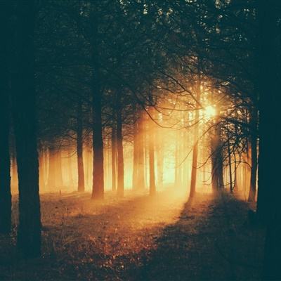 倒计时1天| 和利时与您明天见