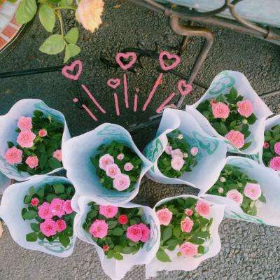 业内人士：确有大小合同调税现象 国家严查是好事