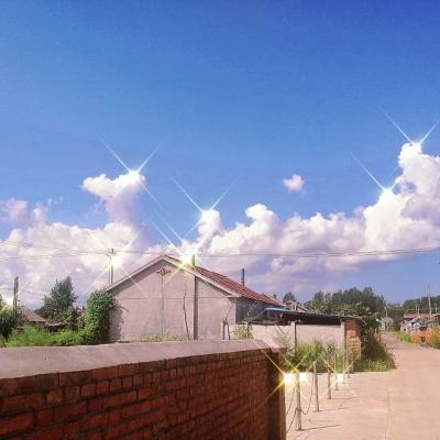 米乐体育娱乐下载APP/手机APP下载