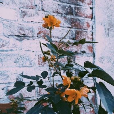 胸怀“千年大计” 奔赴“新的赶考”