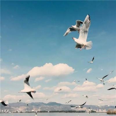 鱼乐体育app下载