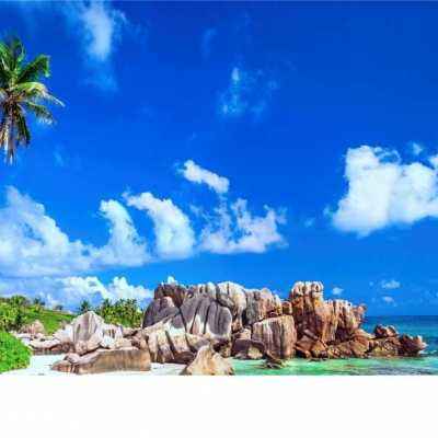 爱游戏体育平台app入口