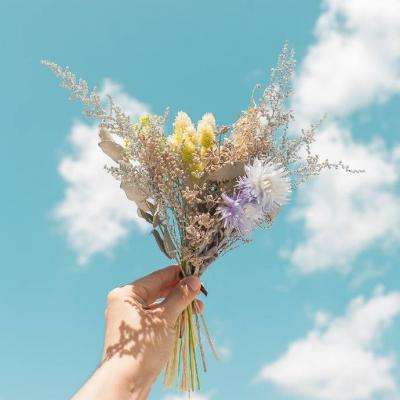 刚刚建仓！社保基金新进股曝光，5股重仓超3亿元