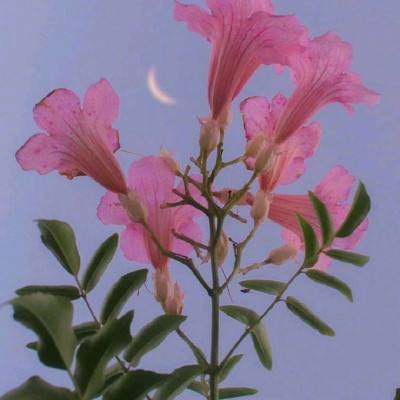 米乐m6官网网页入口