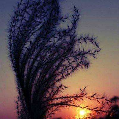 国乒新王登基!李晓霞接班人苦战7局战胜丁宁夺冠