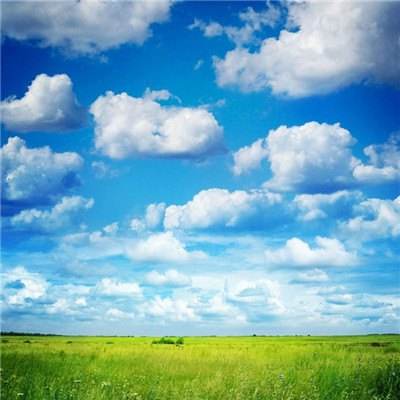 游客爬山如厕遇牦牛：厕所门无法关闭