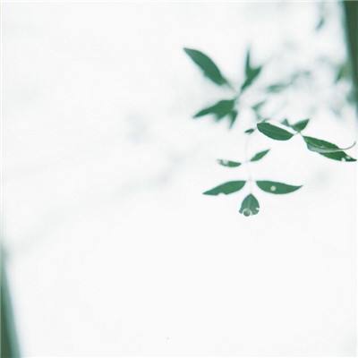 亚娱体育app下载
