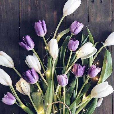 女子离家十多年后发现自己“死了”