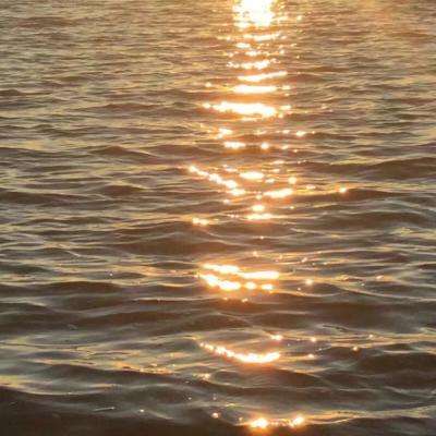 英国央行货币政策委员格林：私人信贷对能源行业的敞口令人担忧。